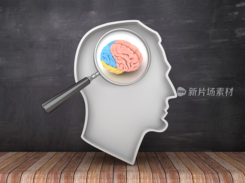 人类头部形状与放大镜和大脑在黑板背景- 3D渲染